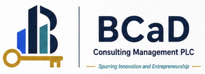 BCaD Consulting Management PLC — Spurring Innovation and Entrepreneurship